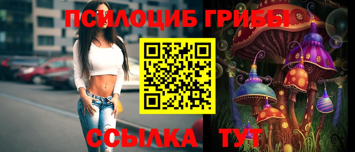 купить наркотик  Вход с VPN  Алексин  Галлюциногенные грибы мицелий 